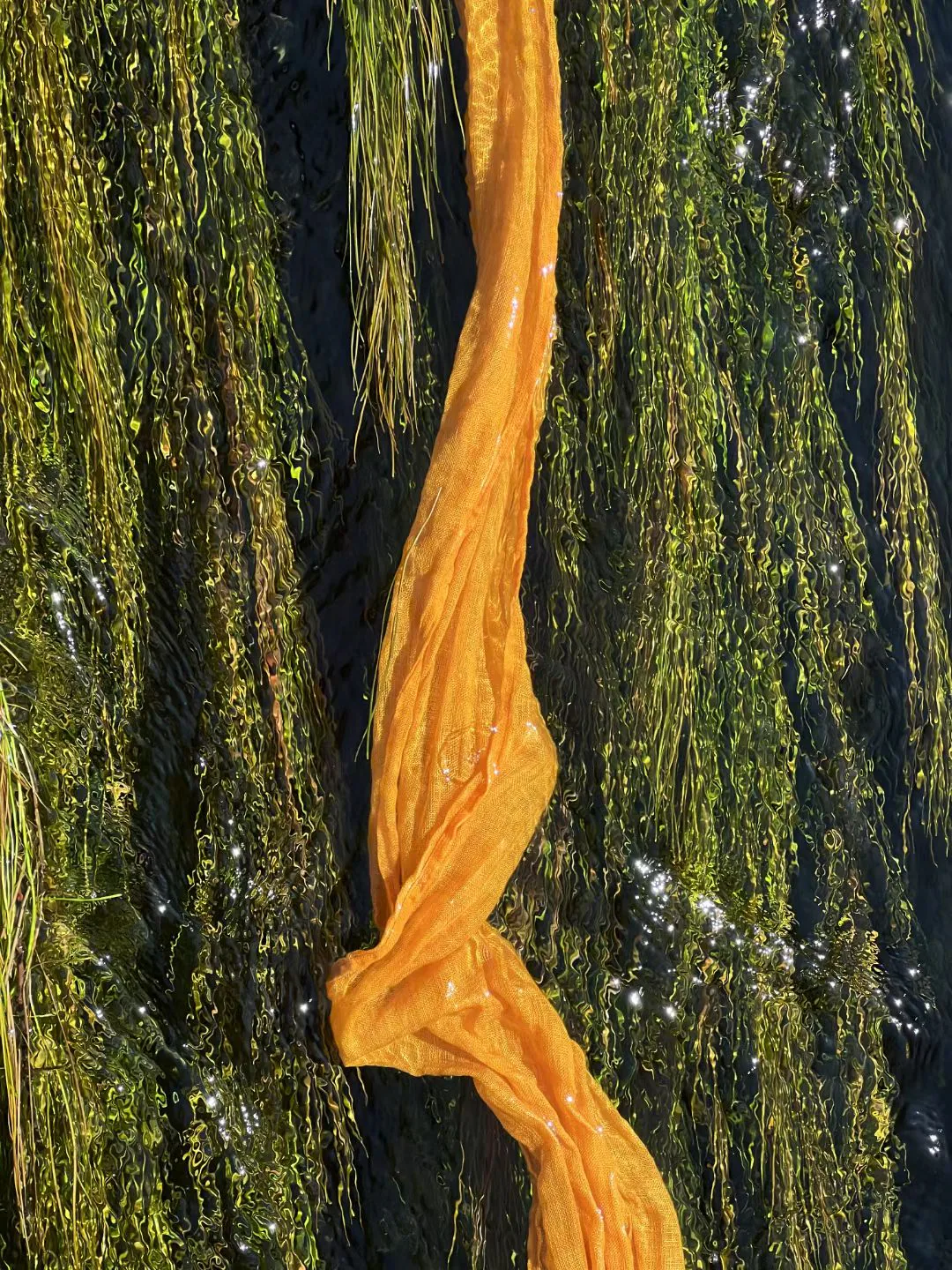 Archive Collection COL-020 archive image